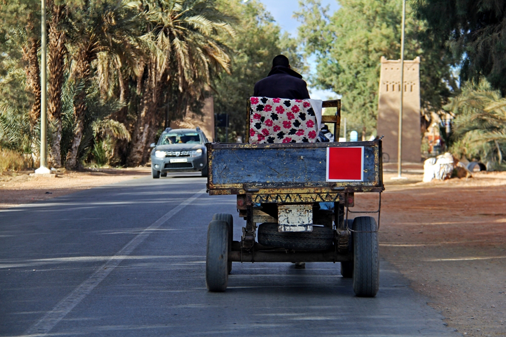 El Desierto de los Niños