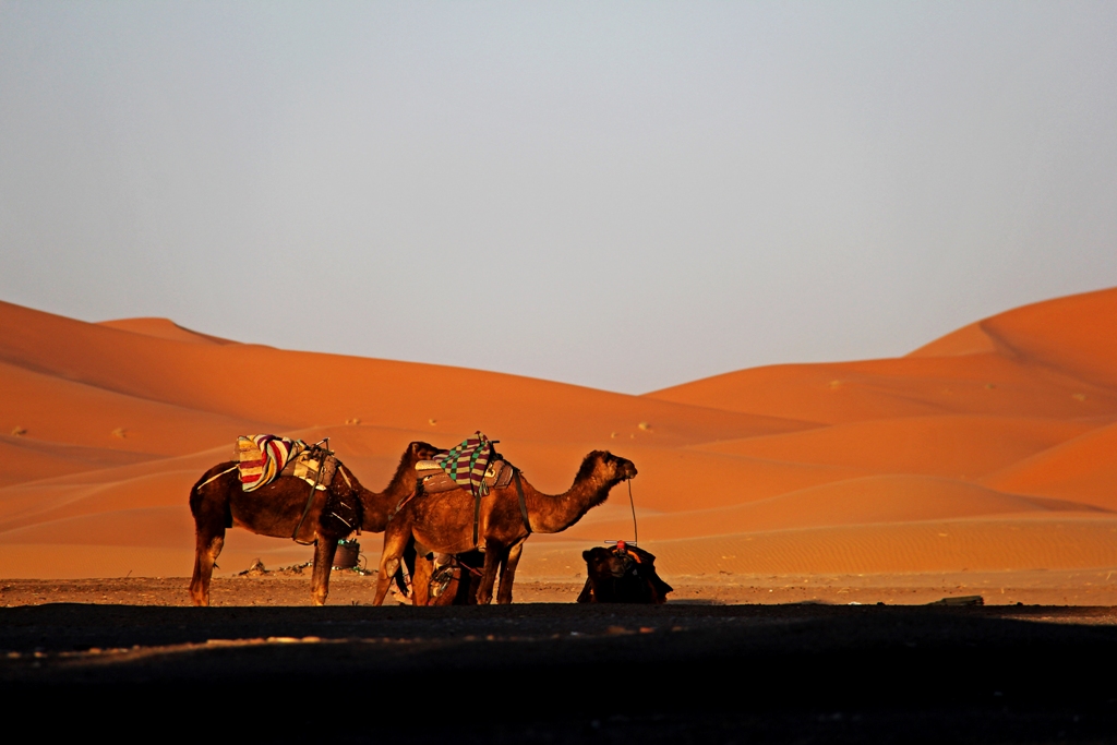 El Desierto de los Niños