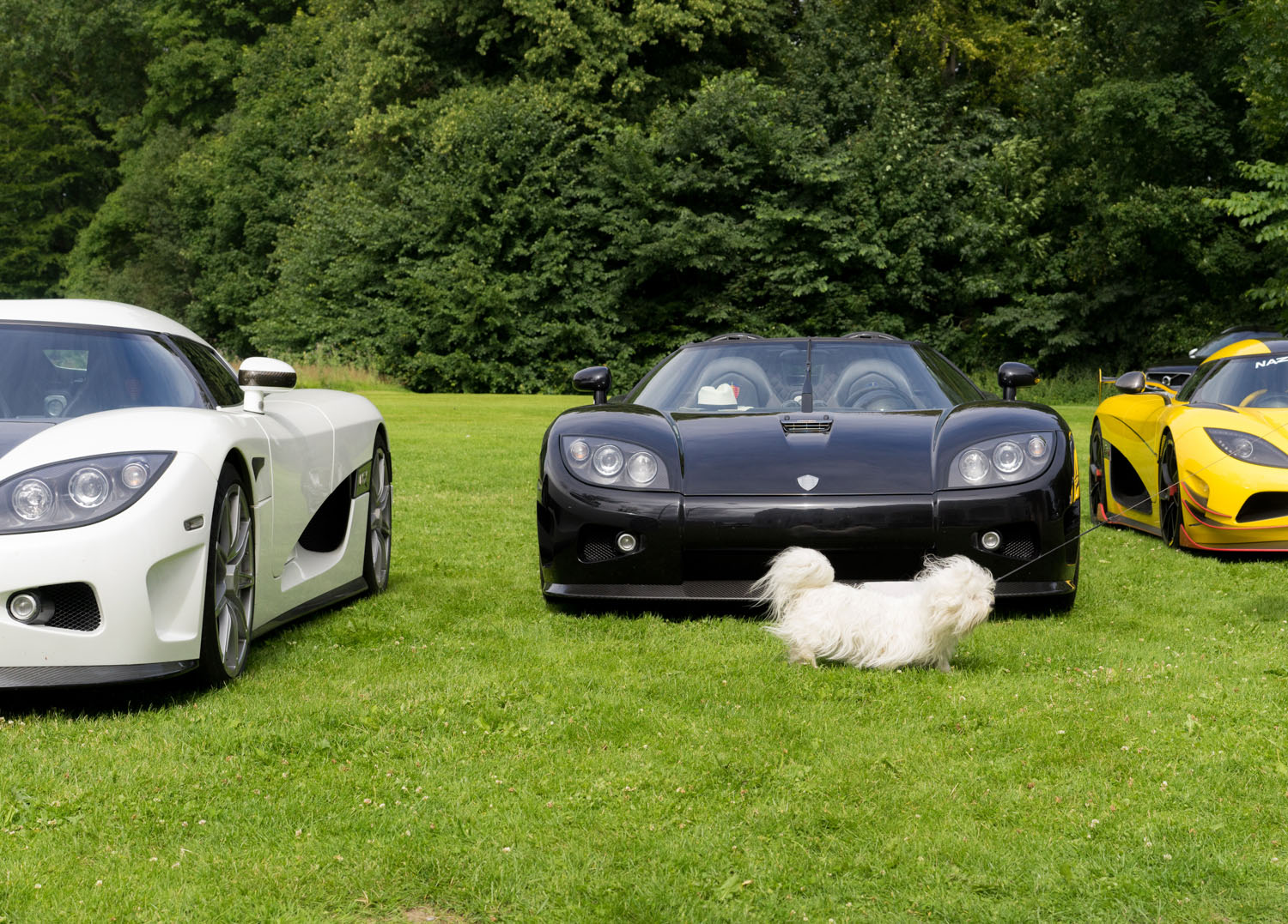 Koenigsegg Owners Tour