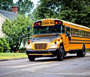 autobuses escolares americano