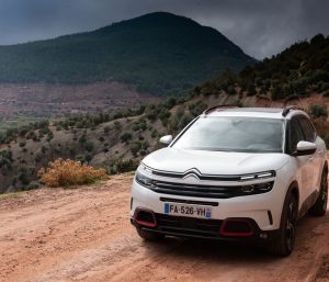 mejor coche del año