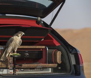 Bentayga Falconry