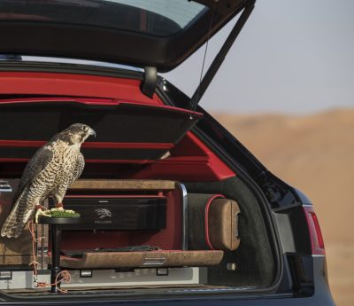 Bentayga Falconry