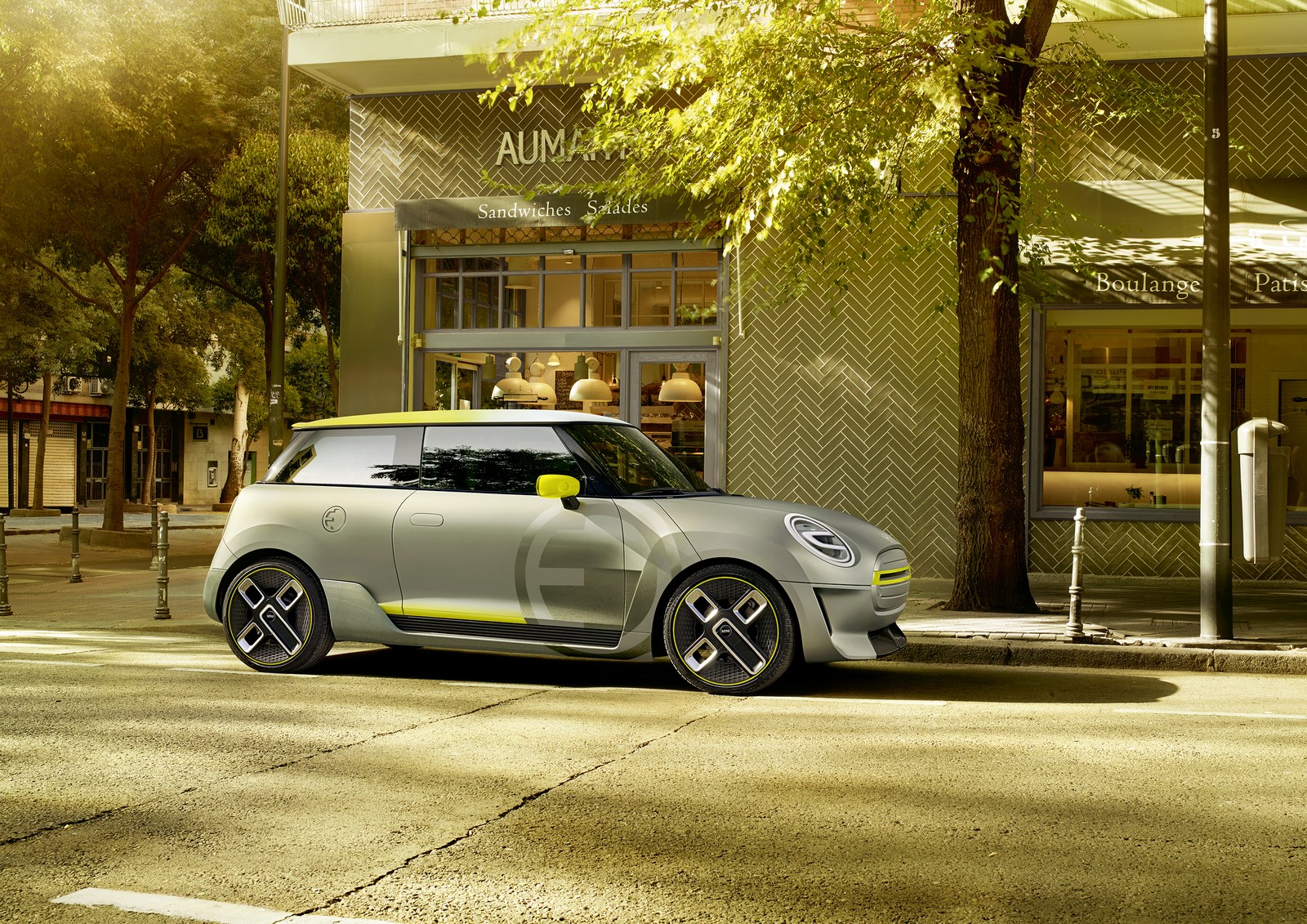 Mini Electric Concept
