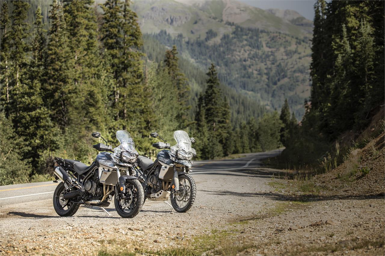 triumph tiger triumph tiger