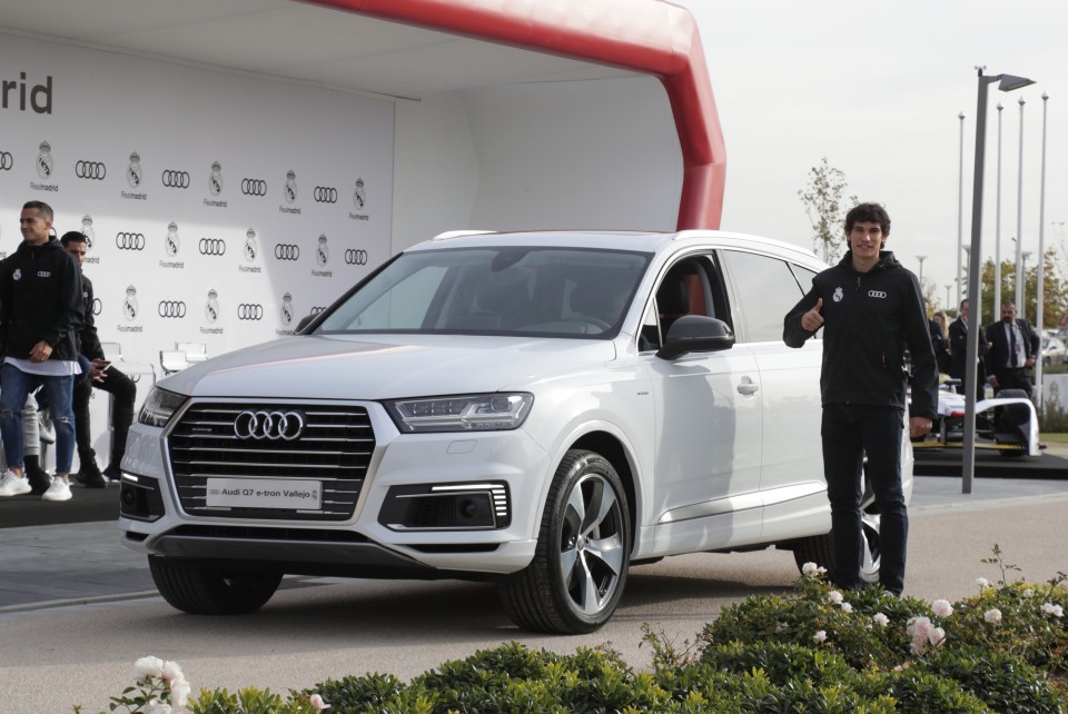 Vallejo: Audi Q7 e-Tron