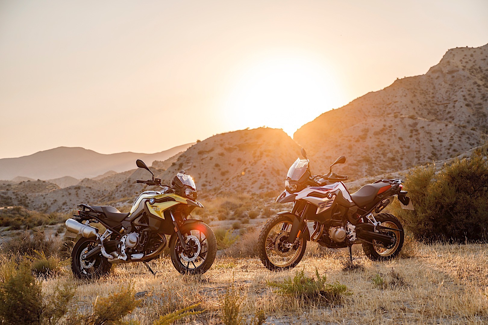 BMW F 750 GS y F 850 GS