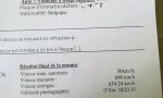 Un conductor belga, multado por conducir a 696 km/h