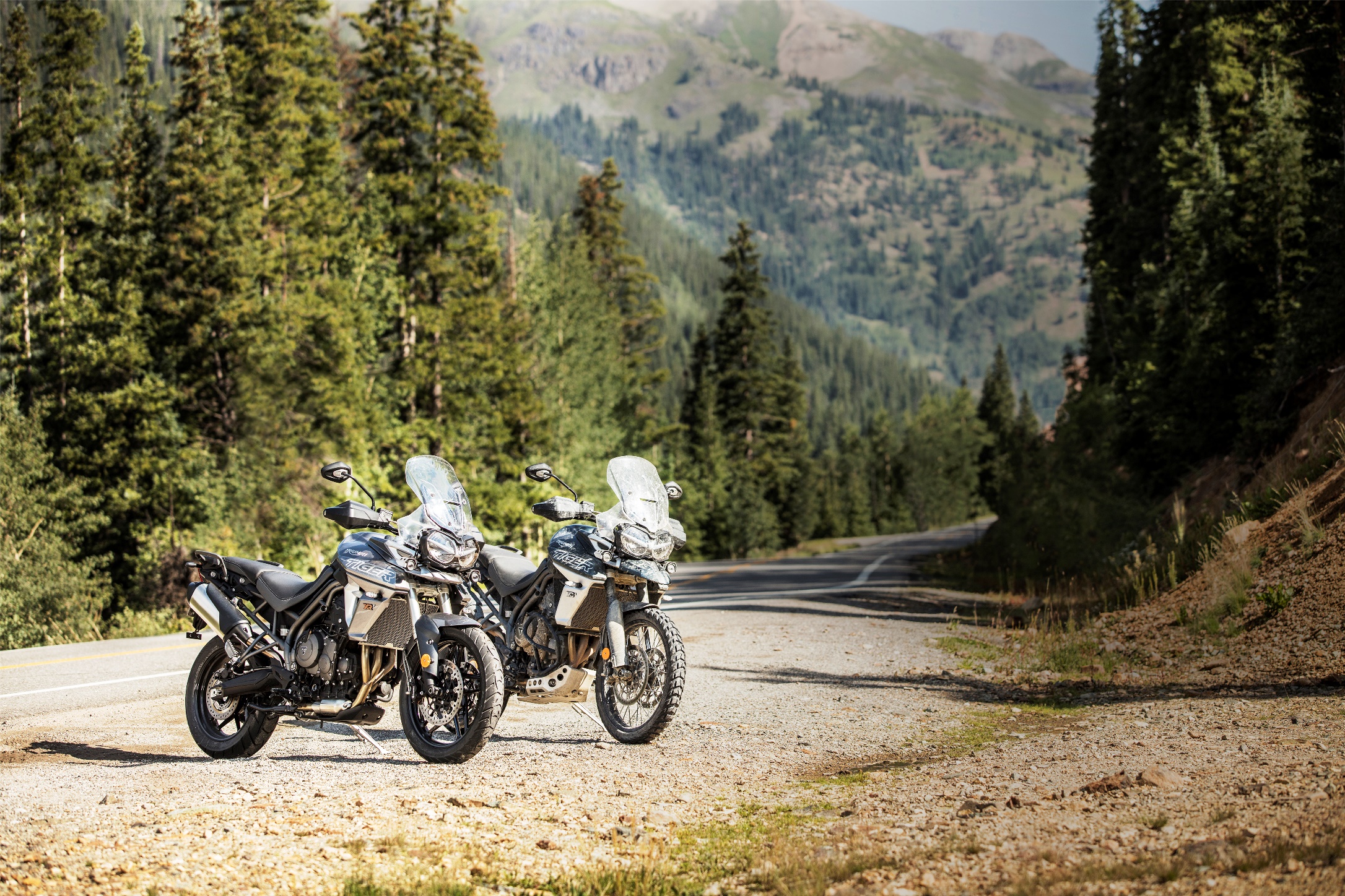 Triumph Tiger 800 XRT