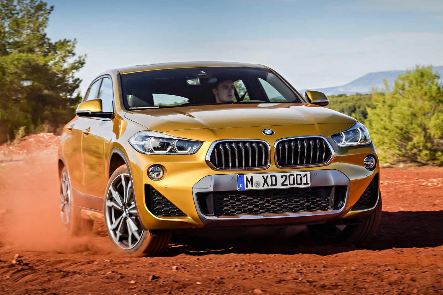 BMW X2