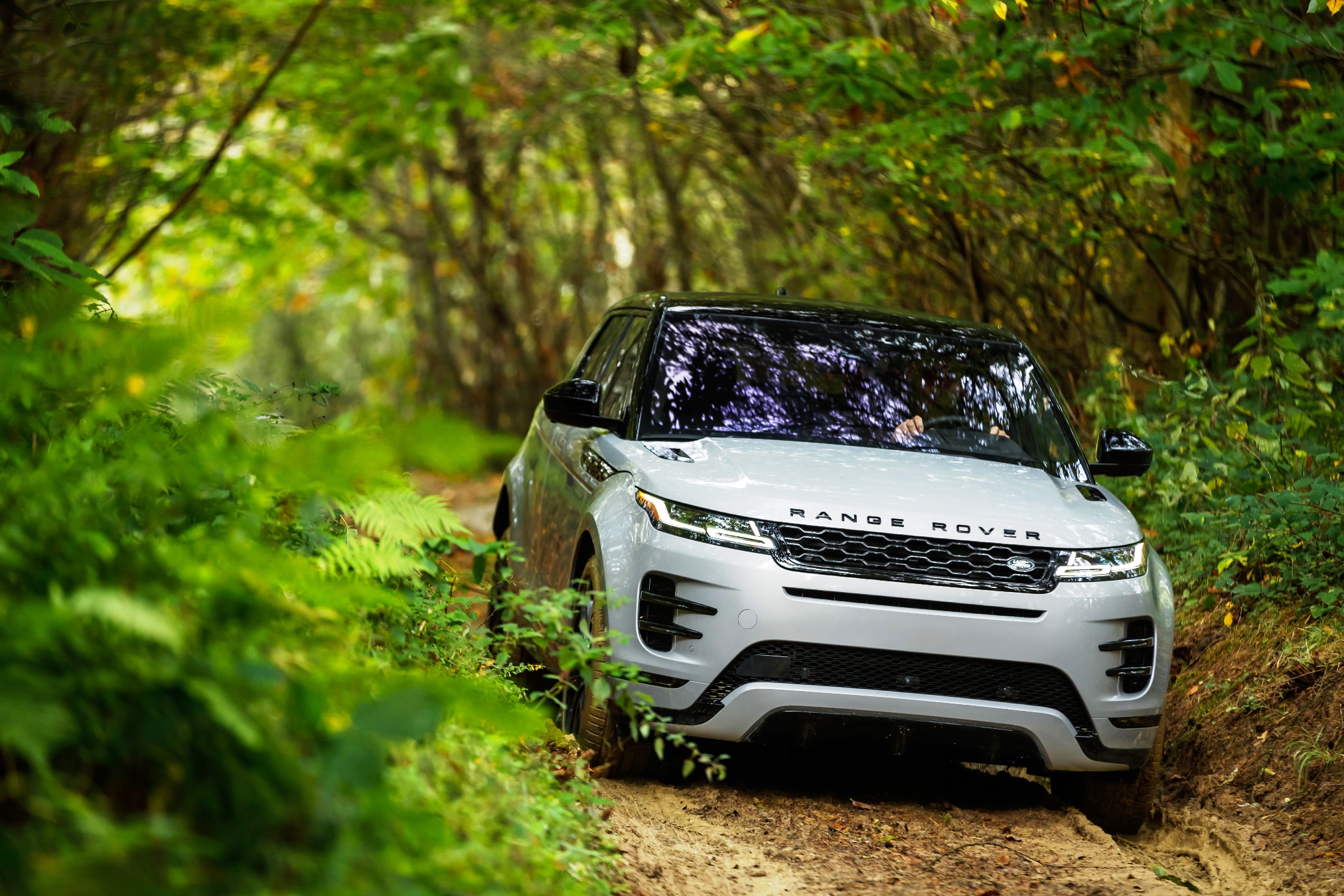Nuevo Range Rover Evoque
