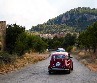 Constitucion y coches
