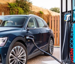 Combustible para coches