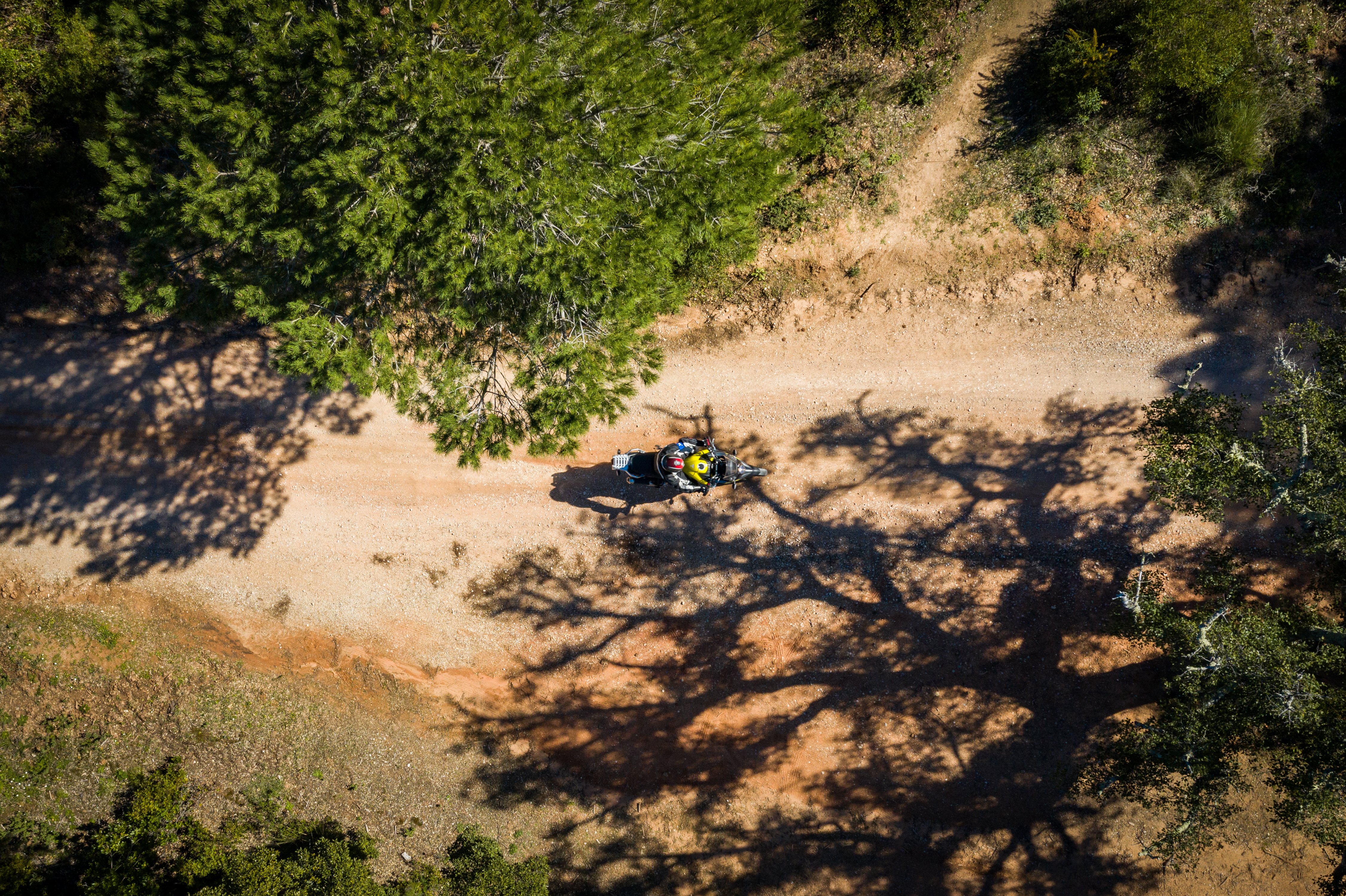 Nuevo Michelin Anakee Adventure