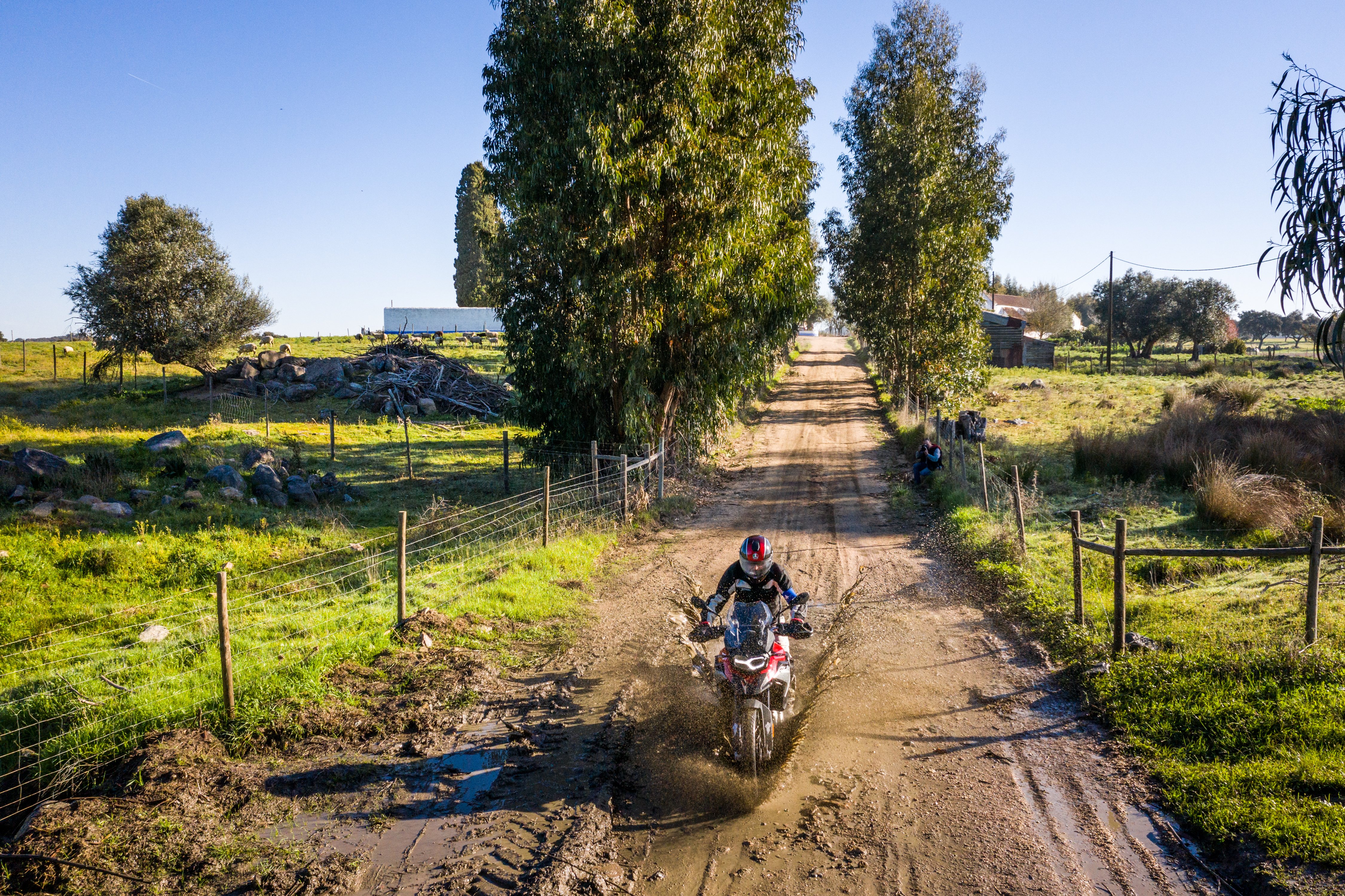 Nuevo Michelin Anakee Adventure