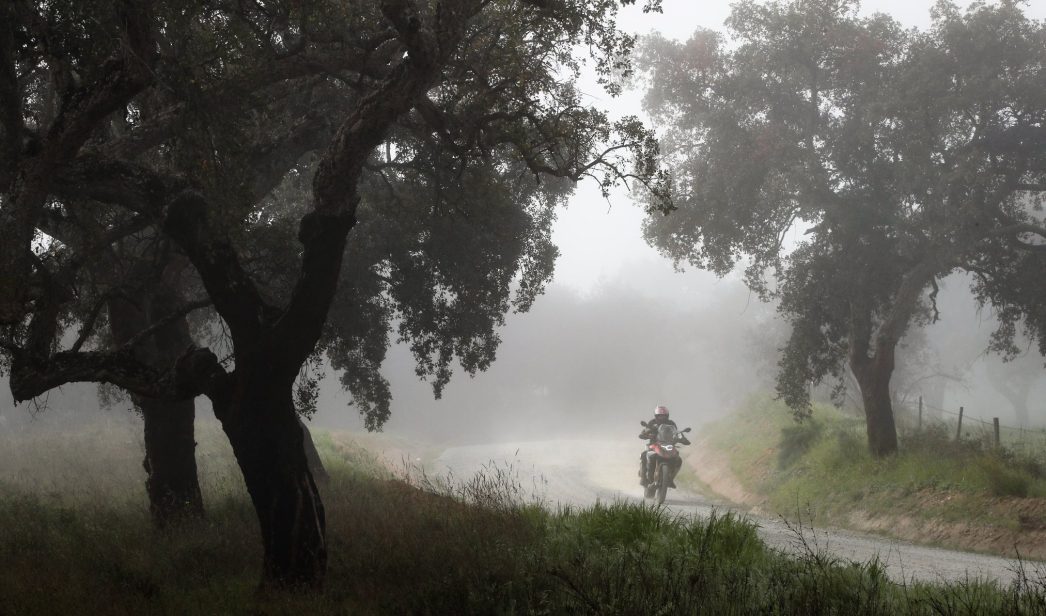 Michelin Anakee Adventure