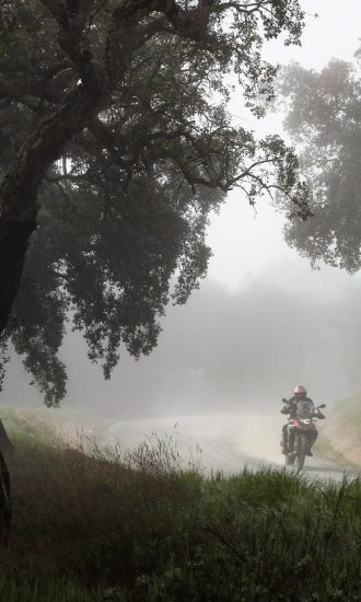 Michelin Anakee Adventure