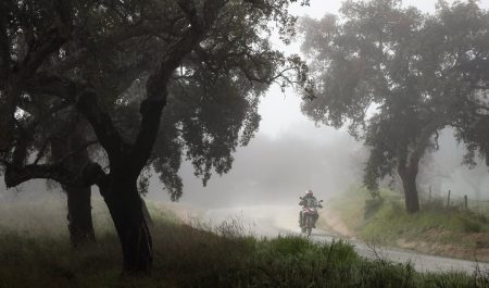 Michelin Anakee Adventure