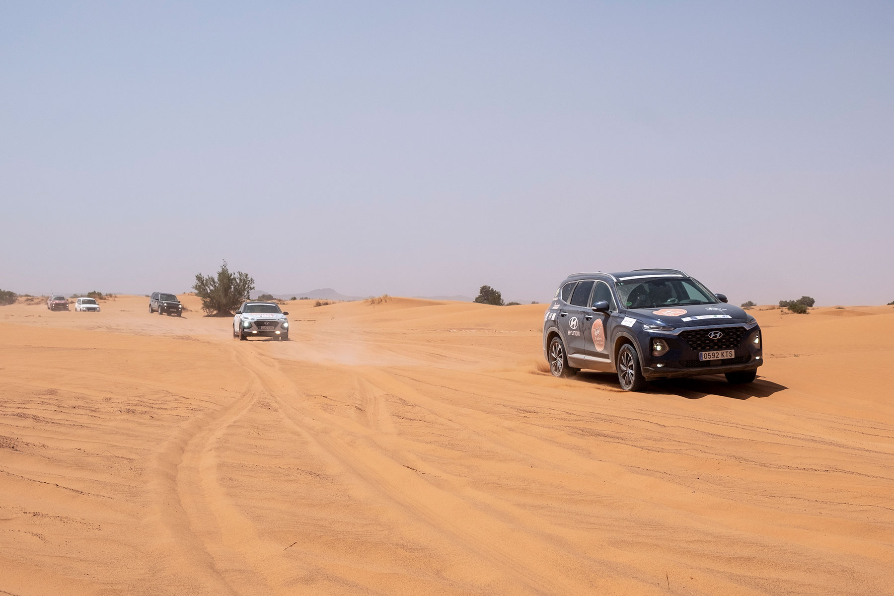 El Desierto de los Niños