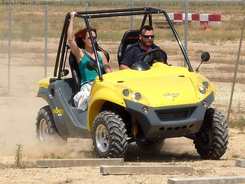 Buggy RBS Obey Eco (2009)