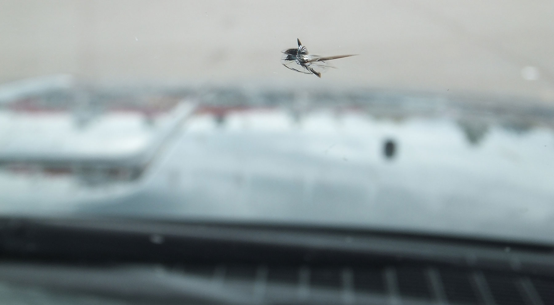 trucos caseros coche