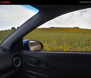 como contaminar menos