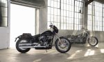La mejor Harley-Davidson para dejarla a tu gusto