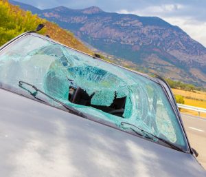 mortalidad en carretera