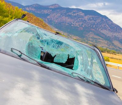 mortalidad en carretera