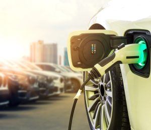 requisitos plan moves