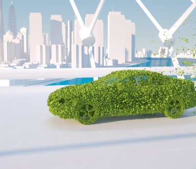 Dia Mundial Medio Ambiente