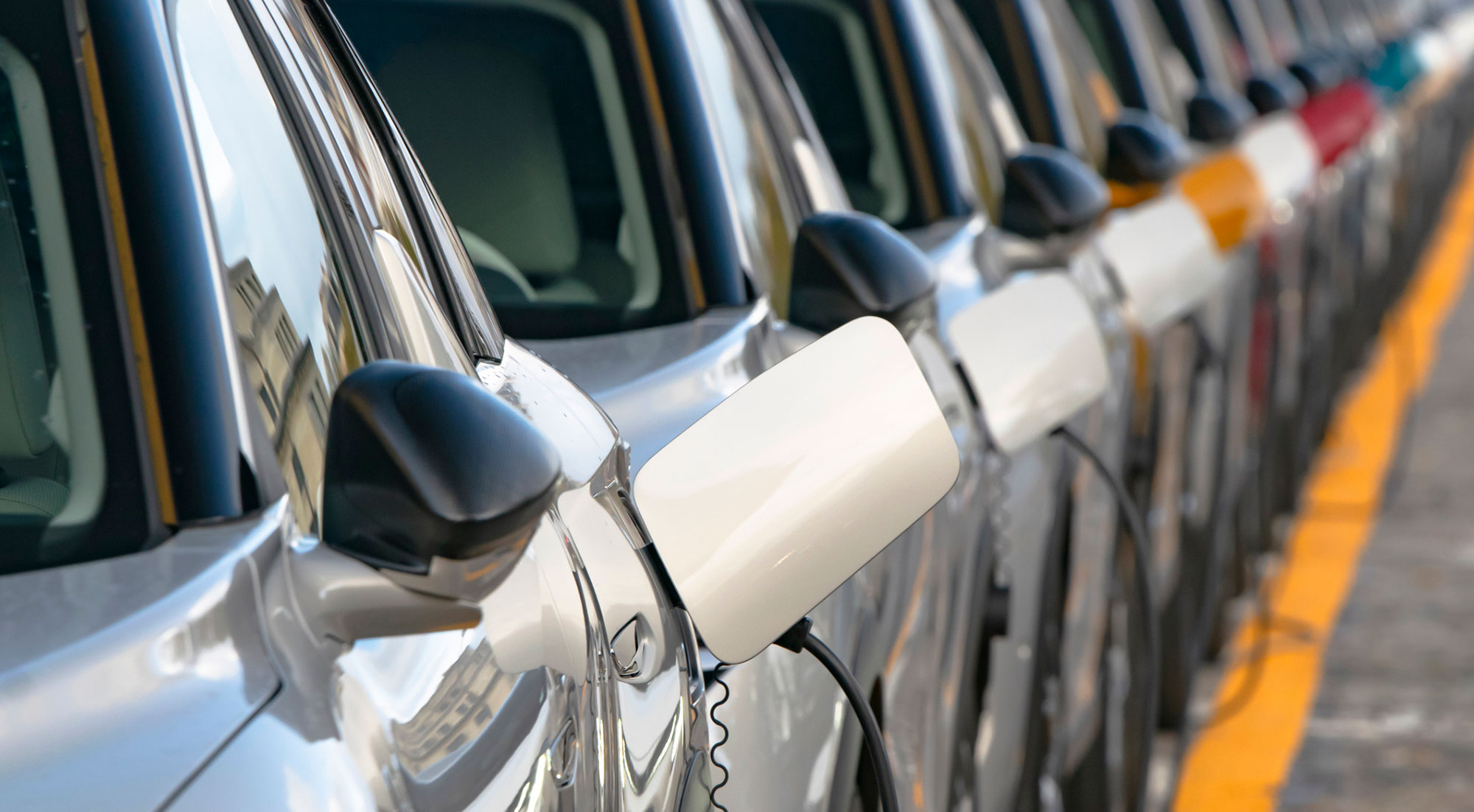 El criterio de clasificación