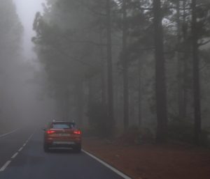 Conducir con niebla
