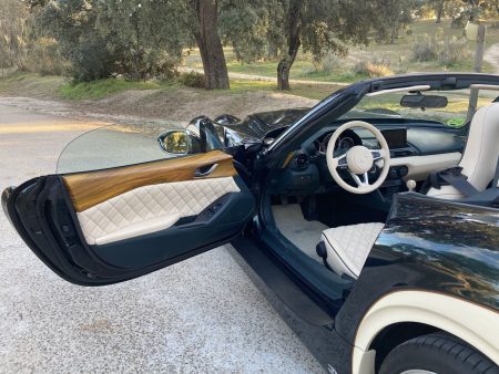 Hurtan Grand Albaycín