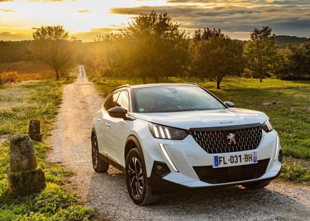 Peugeot 2008 / 1.996 unidades