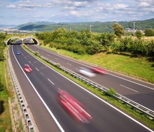 coches diésel o gasolina