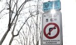 Los coches sin etiqueta que sí pueden entrar en Madrid
