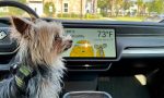 Rivian añade un modo de seguridad para las mascotas