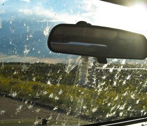 Cristales limpios en verano