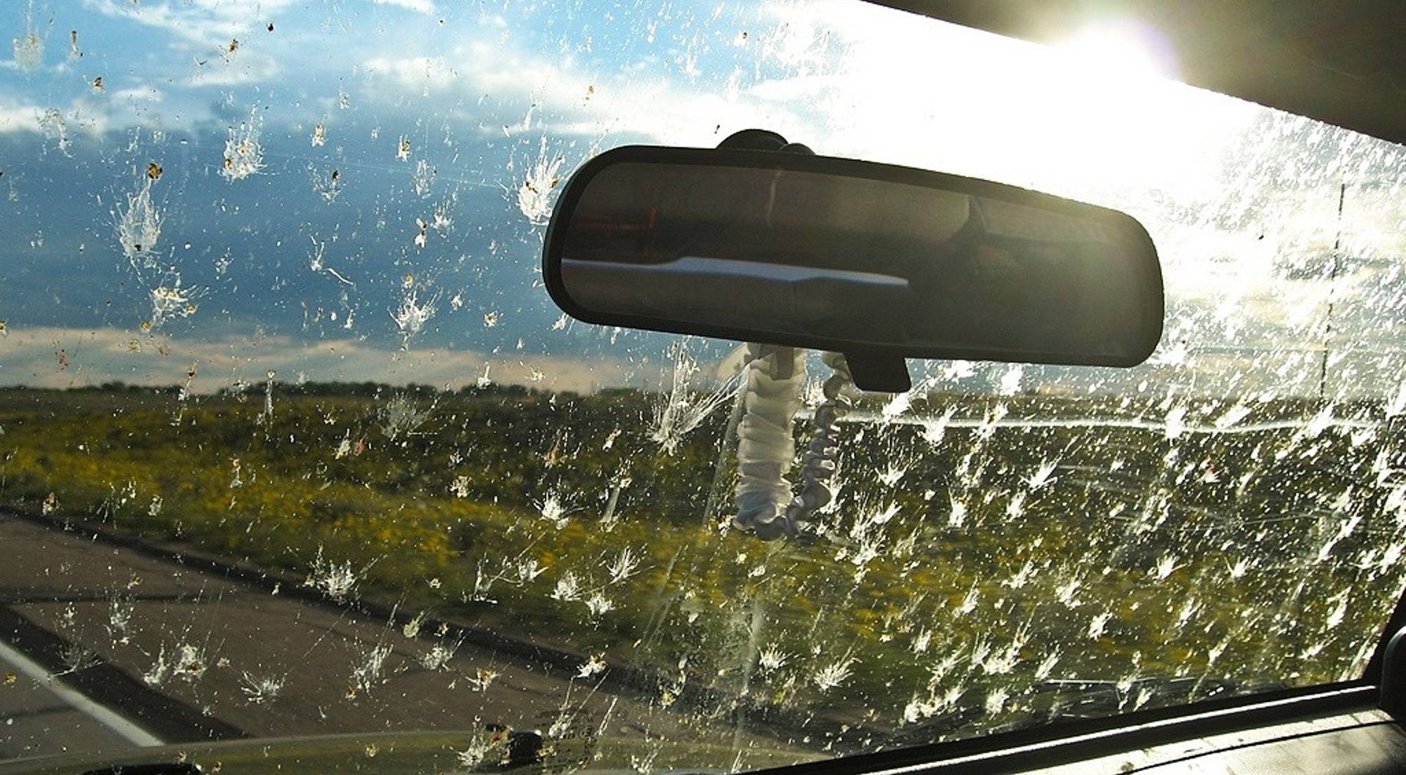 Cristales limpios en verano