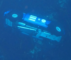 Transglobal Car Expedition