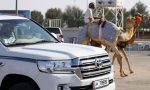 Los coches que más se verán en Qatar durante el Mundial