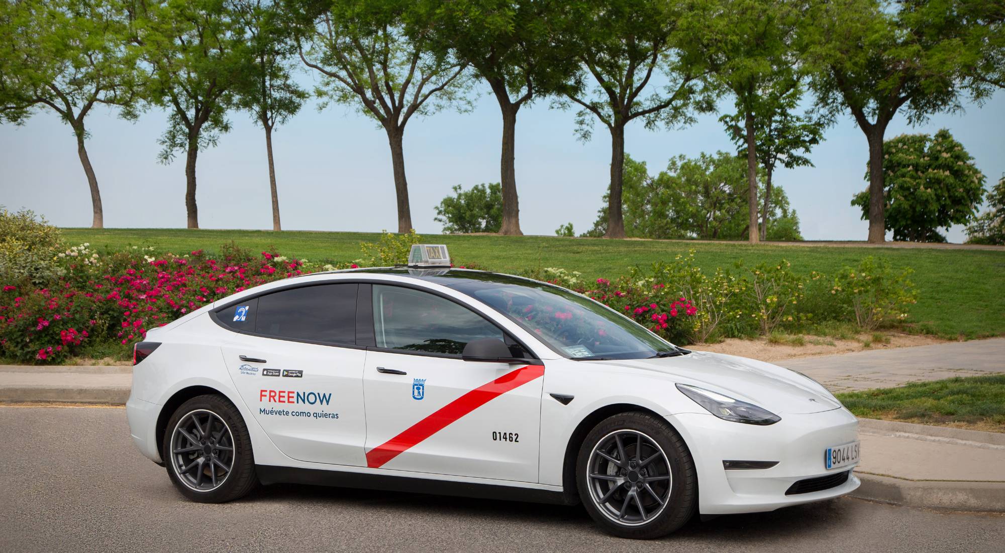 bucle magnético taxi