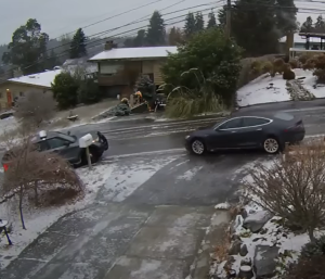 Tesla tormenta Elliot