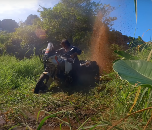 Sinewan atrapado pantano