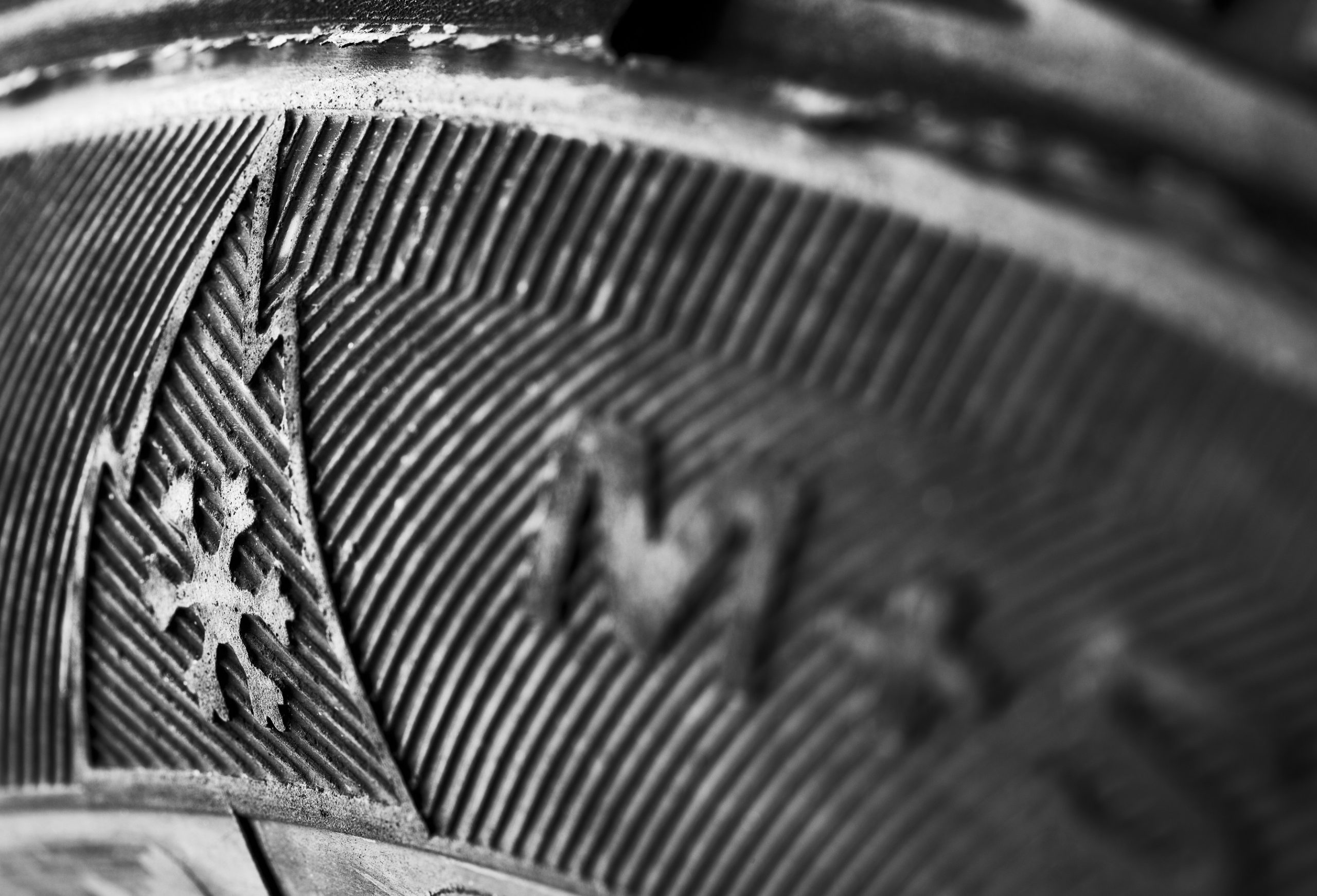 neumáticos invierno