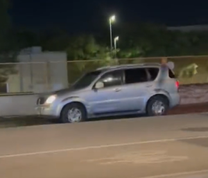 Un coches circula por las vías del TRAM.