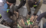 El sorprendente destino de los catalizadores que se roban en España