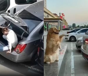 aparcar coche técnicas