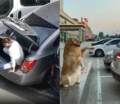 aparcar coche técnicas